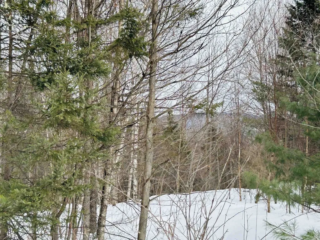 Lot 15 Holbrook Hill Road Stratford NH 03590