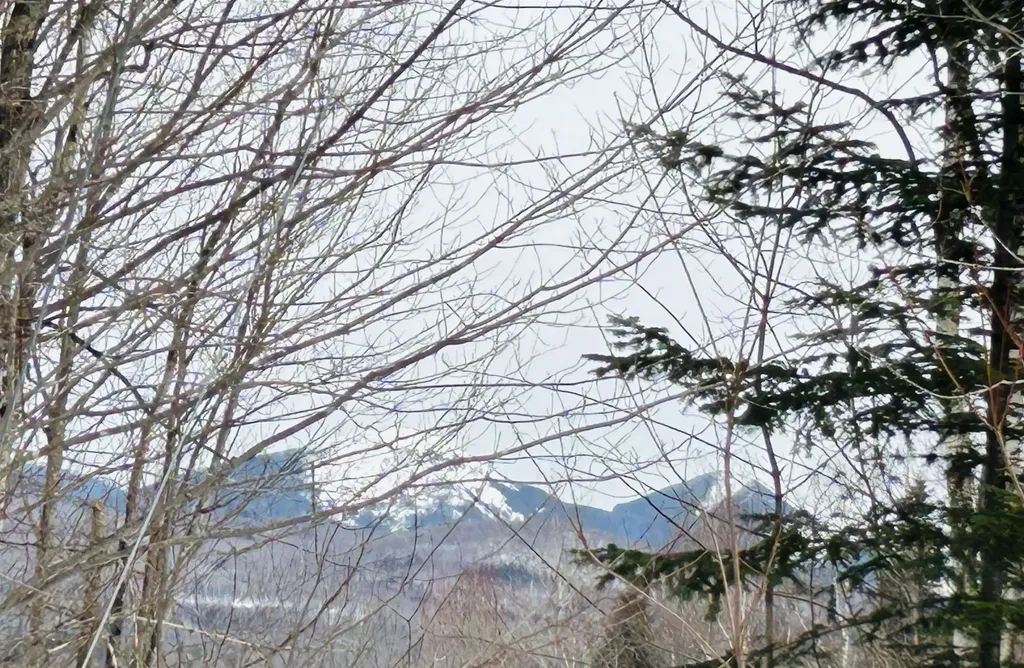 Lot 15 Holbrook Hill Road Stratford NH 03590