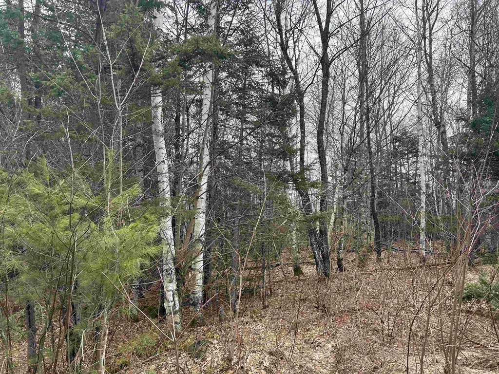 Lot 15 Holbrook Hill Road Stratford NH 03590