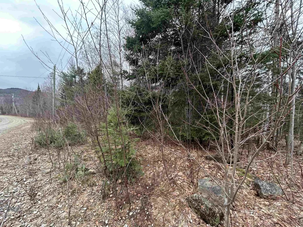 Lot 15 Holbrook Hill Road Stratford NH 03590