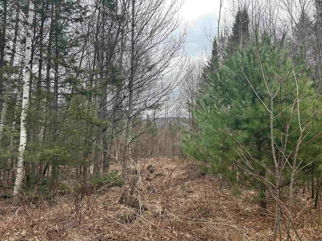 Lot 15 Holbrook Hill Road Stratford NH 03590