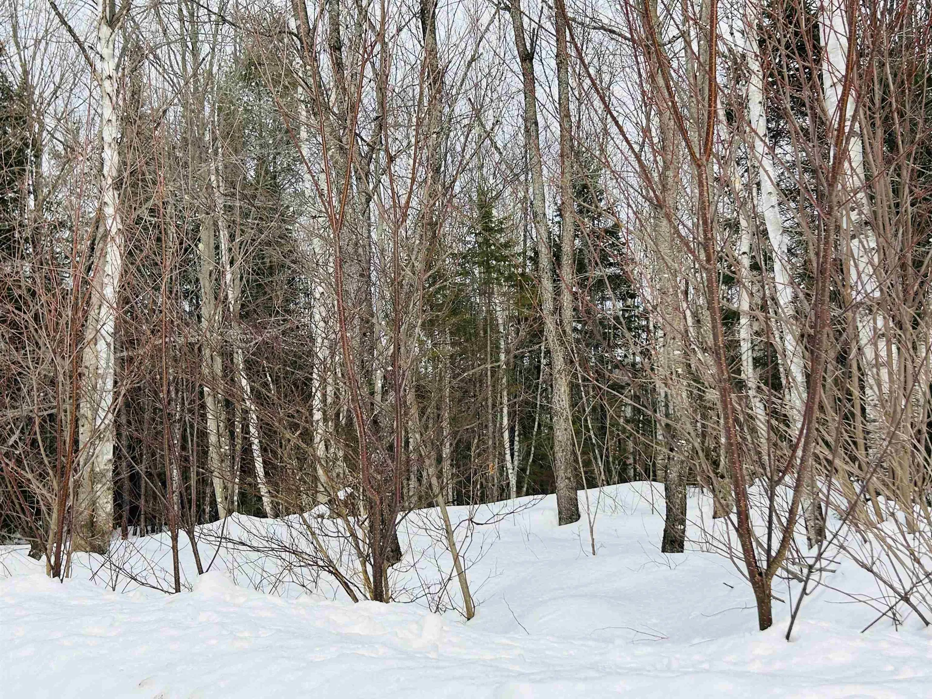 Lot 15 Holbrook Hill Road Stratford NH 03590