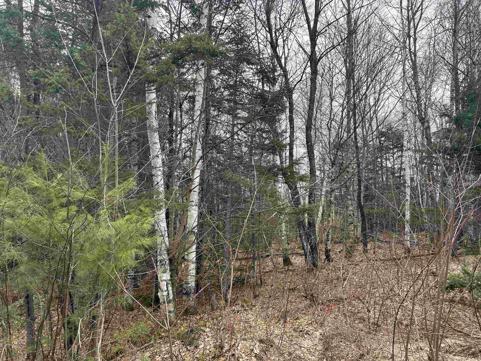 Lot 15 Holbrook Hill Road Stratford NH 03590