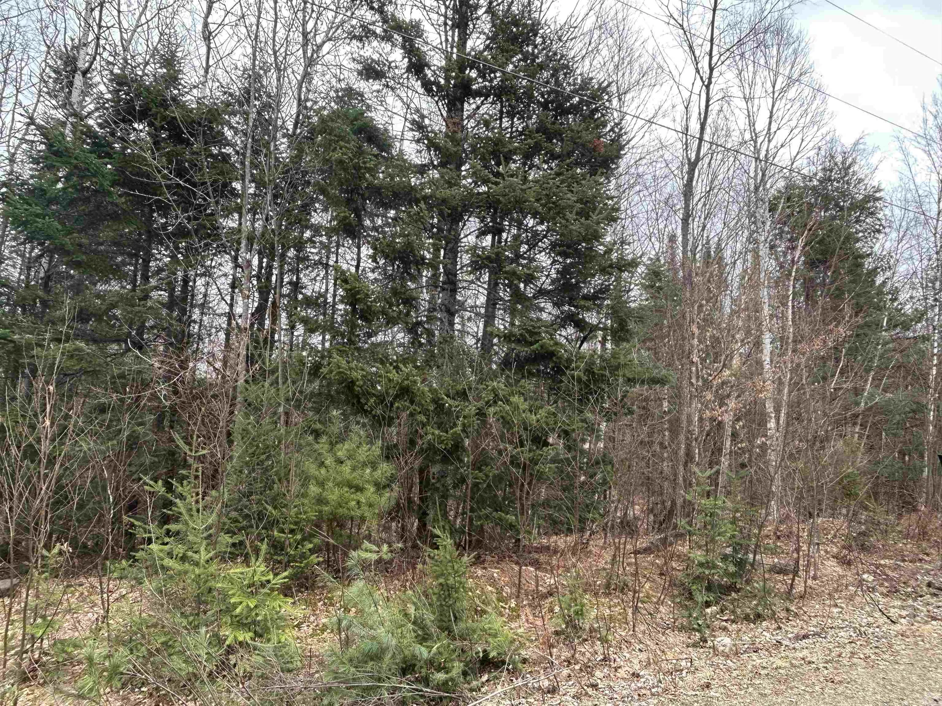 Lot 15 Holbrook Hill Road Stratford NH 03590