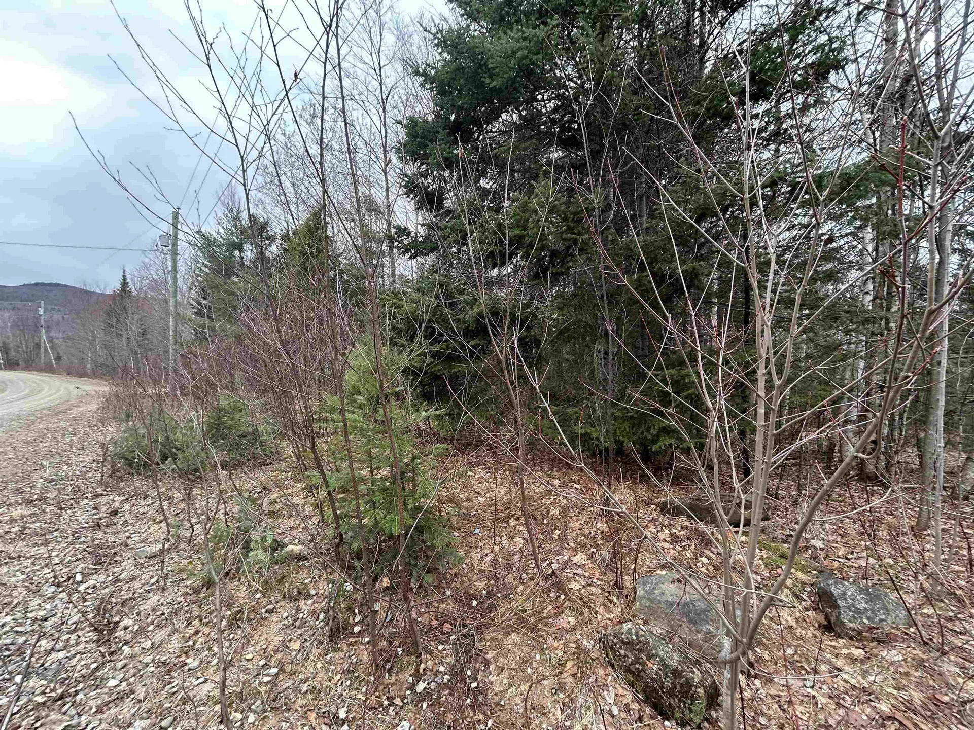 Lot 15 Holbrook Hill Road Stratford NH 03590