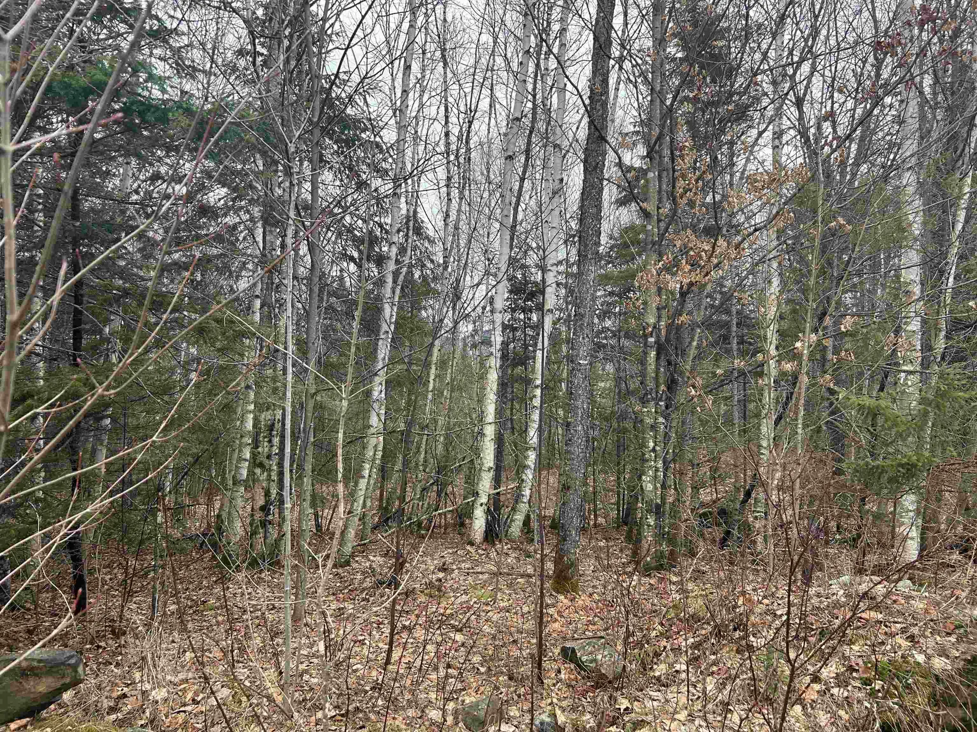 Lot 15 Holbrook Hill Road Stratford NH 03590