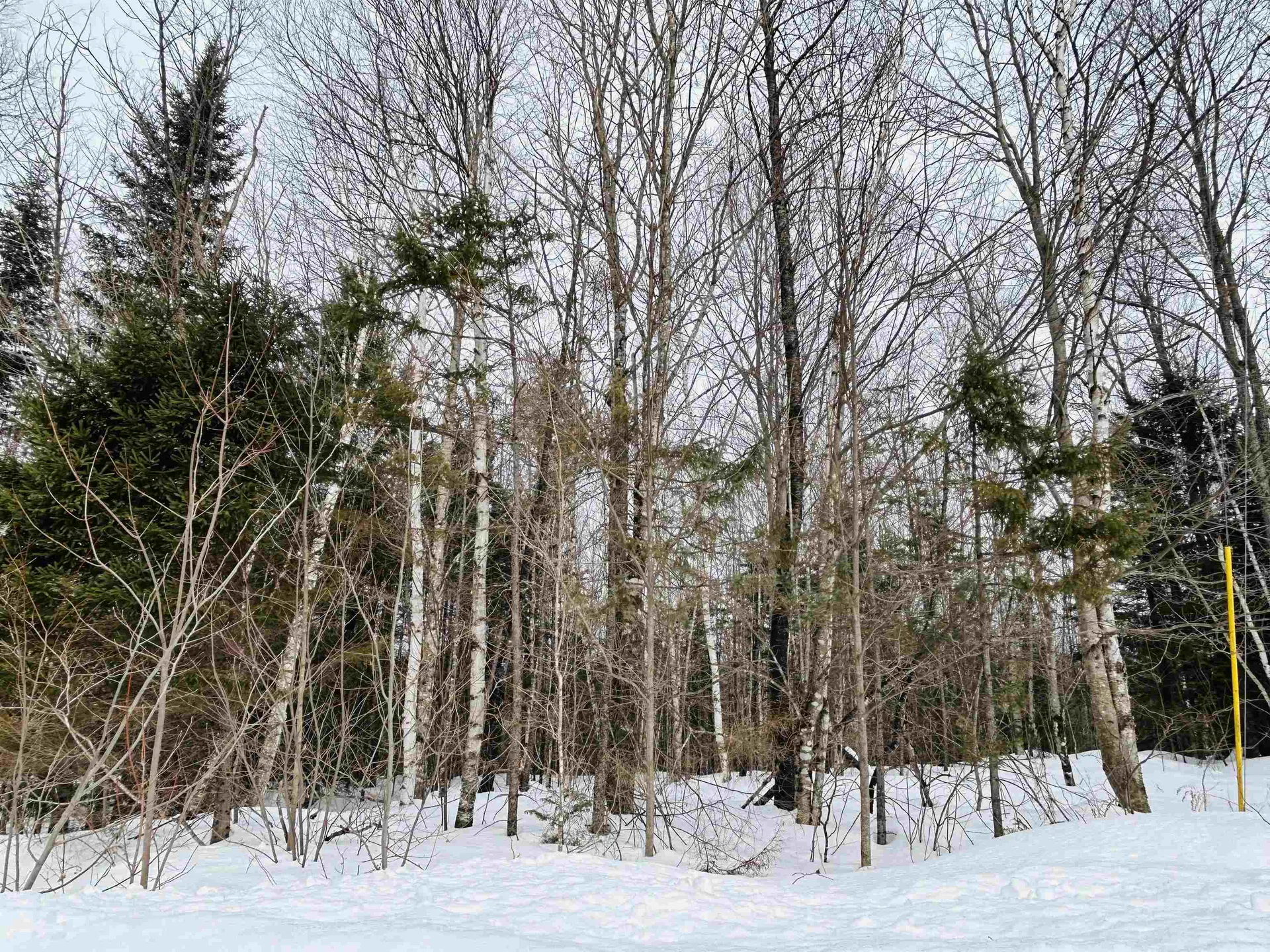 Lot 15 Holbrook Hill Road Stratford NH 03590