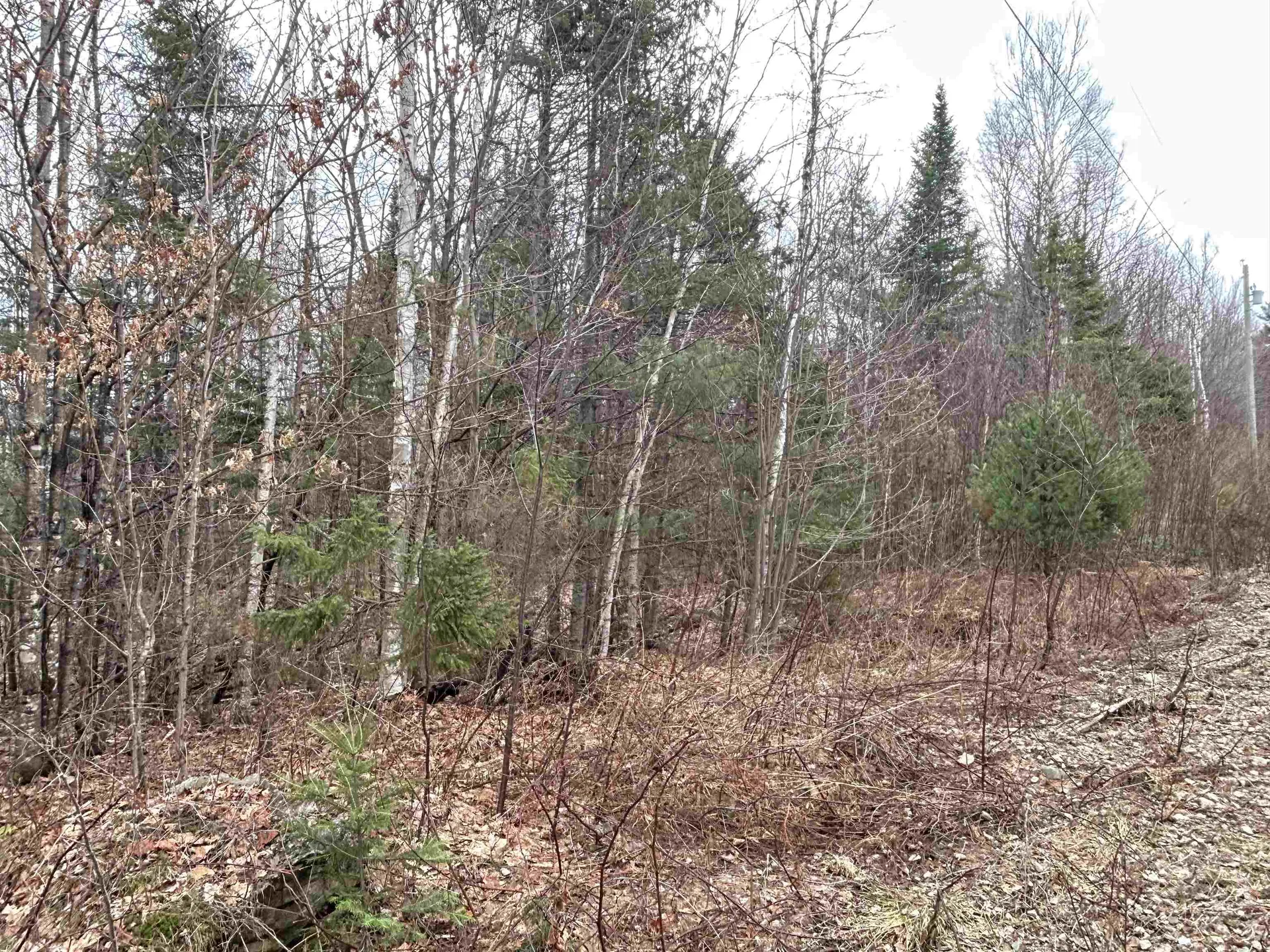 Lot 15 Holbrook Hill Road Stratford NH 03590