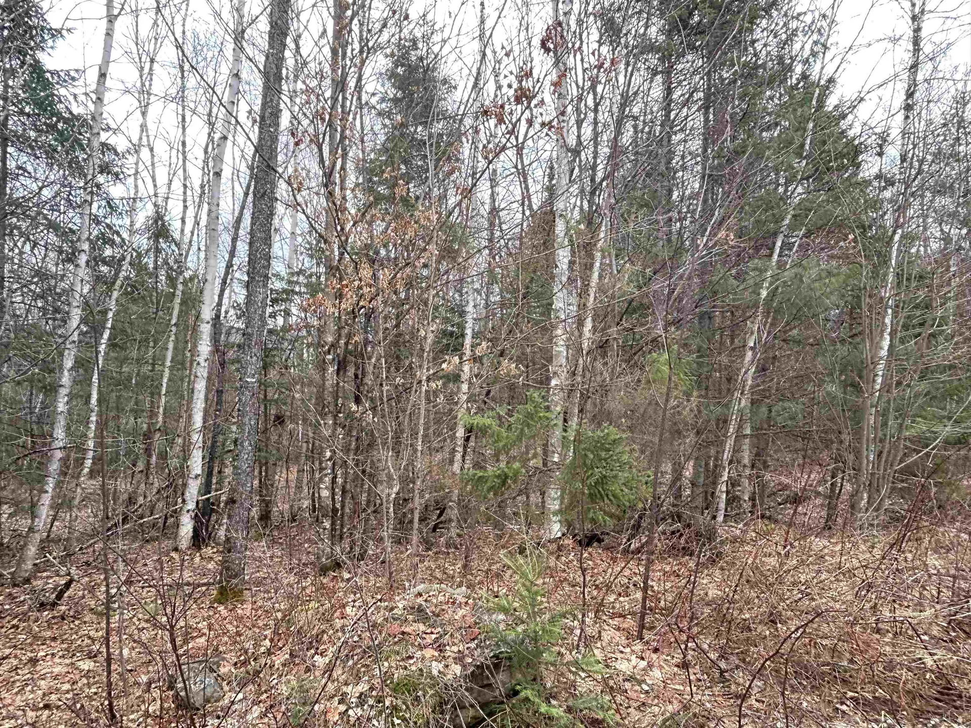 Lot 15 Holbrook Hill Road Stratford NH 03590