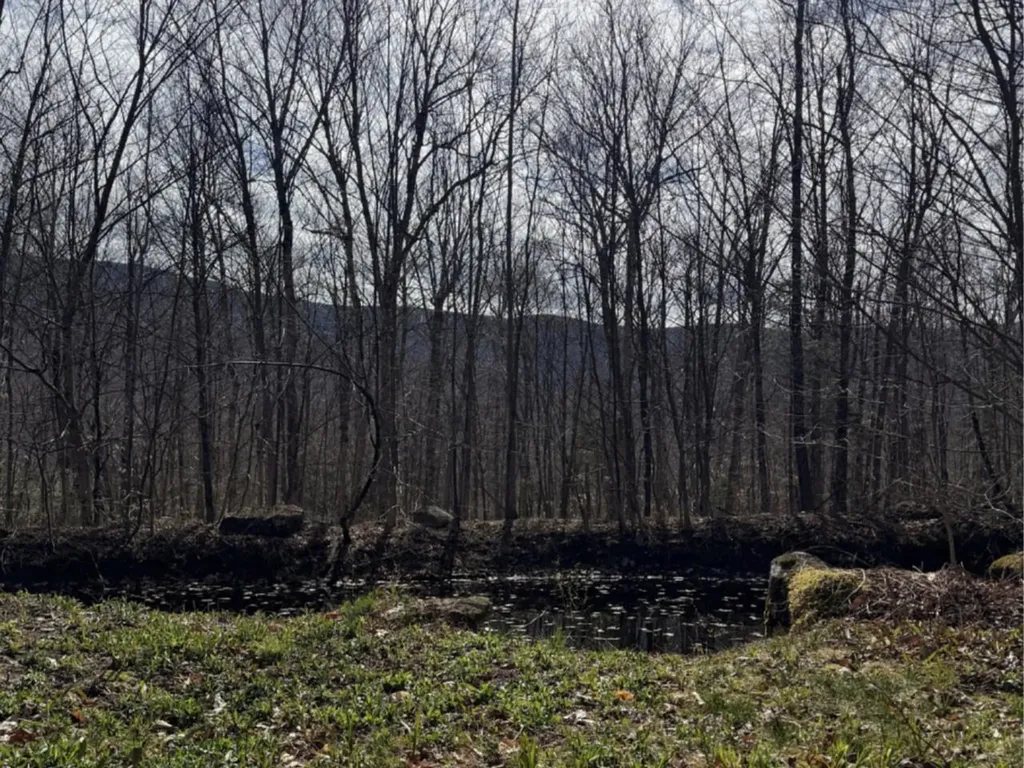 298 Biddle Road Lincoln VT 05443