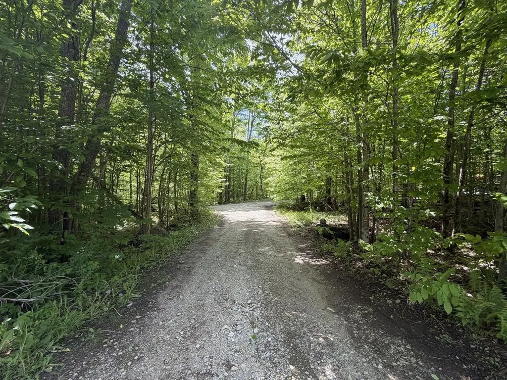 298 Biddle Road Lincoln VT 05443