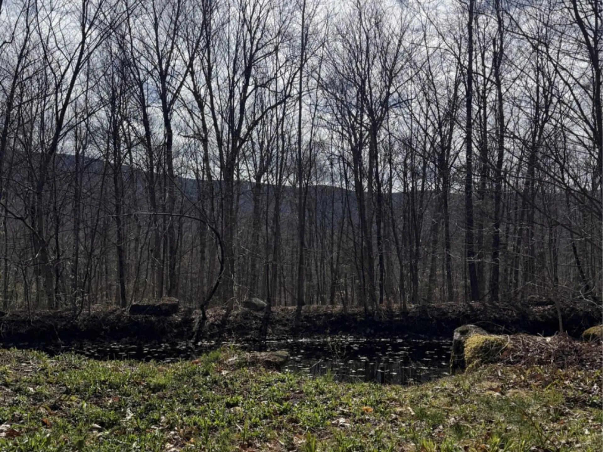 298 Biddle Road Lincoln VT 05443