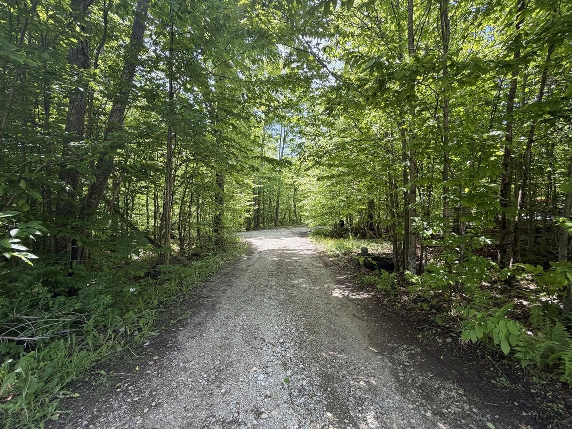 298 Biddle Road Lincoln VT 05443
