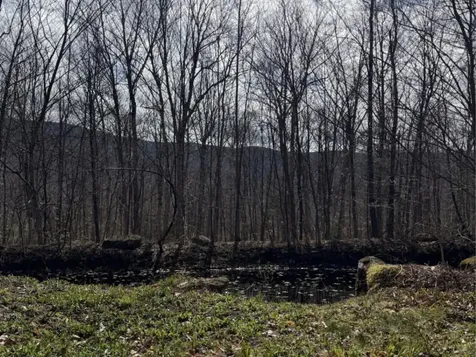 298 Biddle Road Lincoln VT 05443