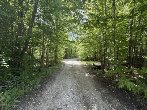 298 Biddle Road Lincoln VT 05443