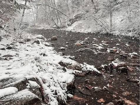 1528 Townshend Road Grafton VT 05146