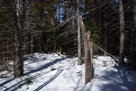 Lot 141 Presidential Drive Washington NH 03280