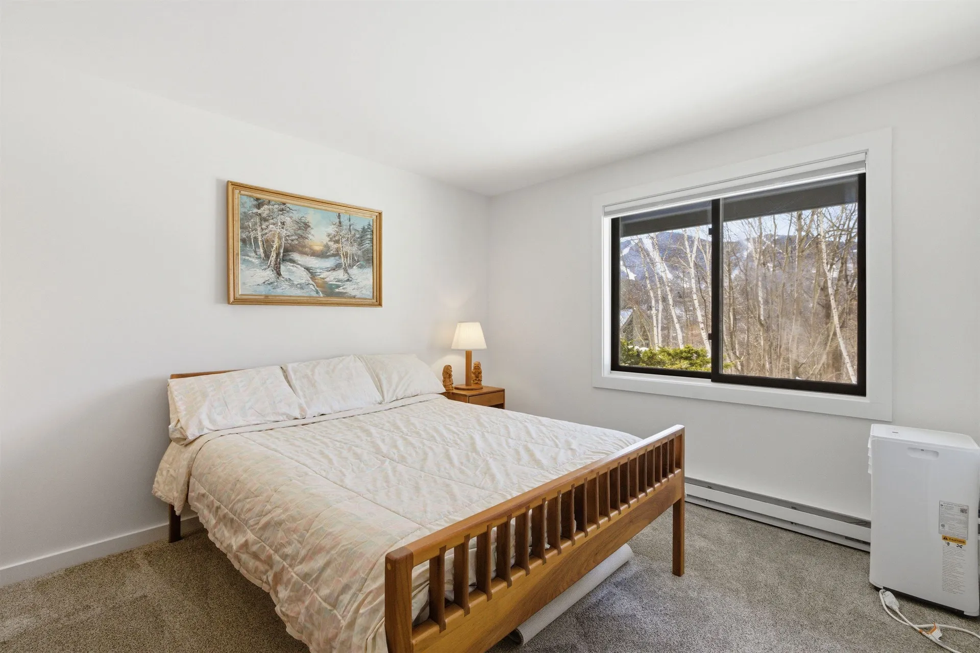 25 Ravine Lane Lincoln NH 03251