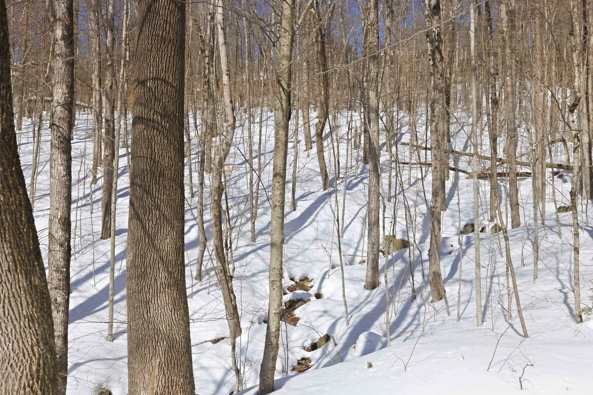 25 Ravine Lane Lincoln NH 03251