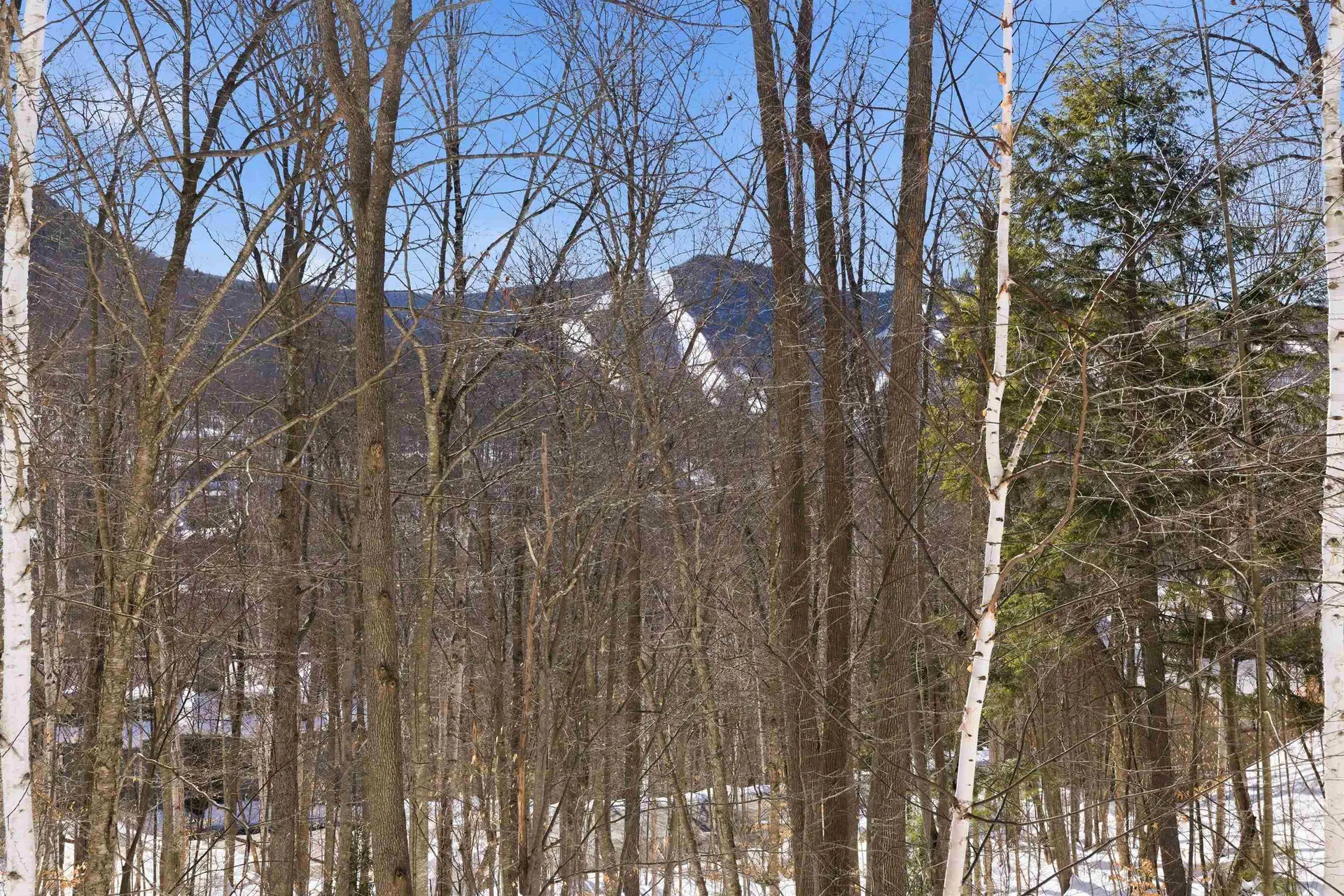 25 Ravine Lane Lincoln NH 03251