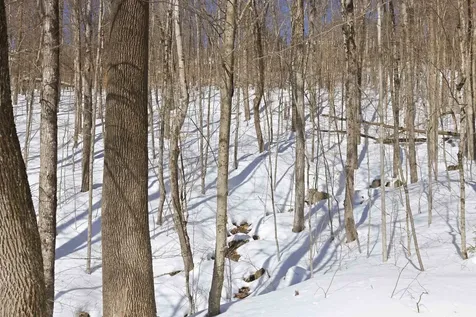 25 Ravine Lane Lincoln NH 03251