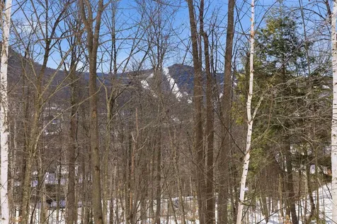 25 Ravine Lane Lincoln NH 03251