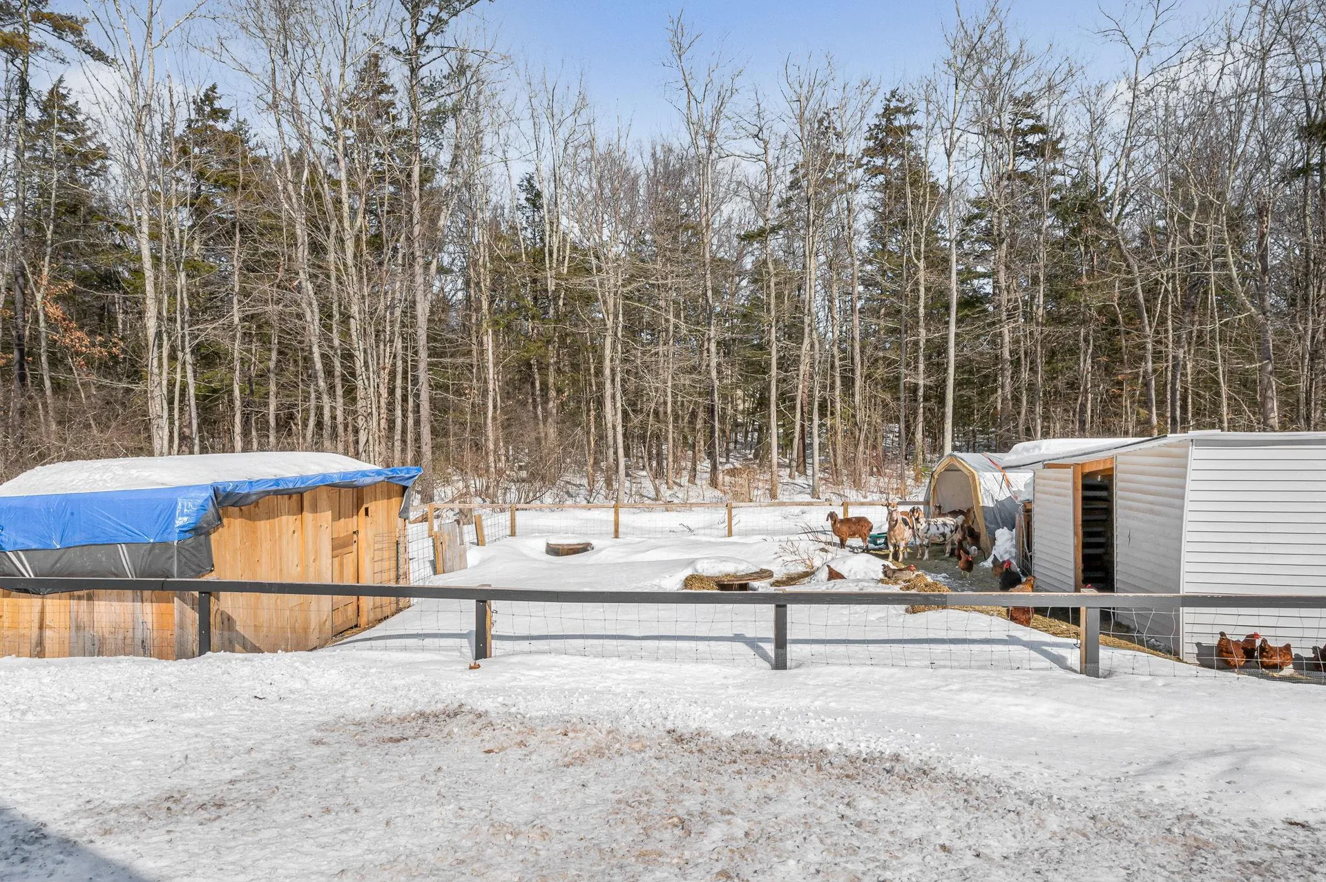 74 Royal Range Road Sandown NH 03873