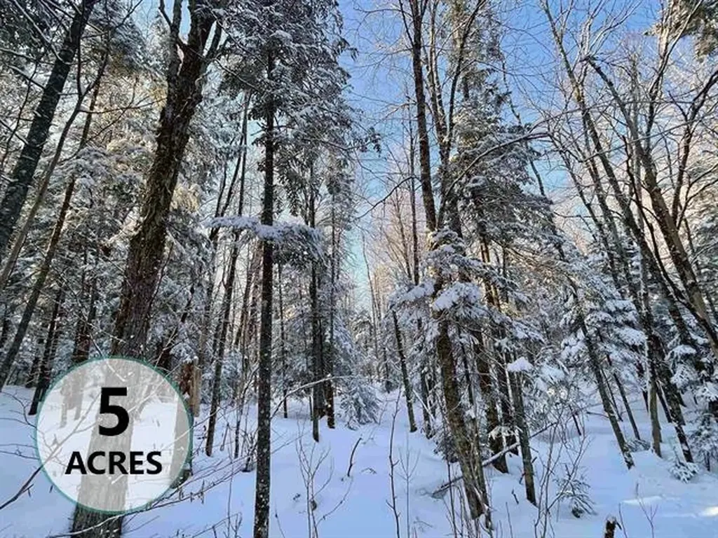 00 Mountain Road Burke VT 05832