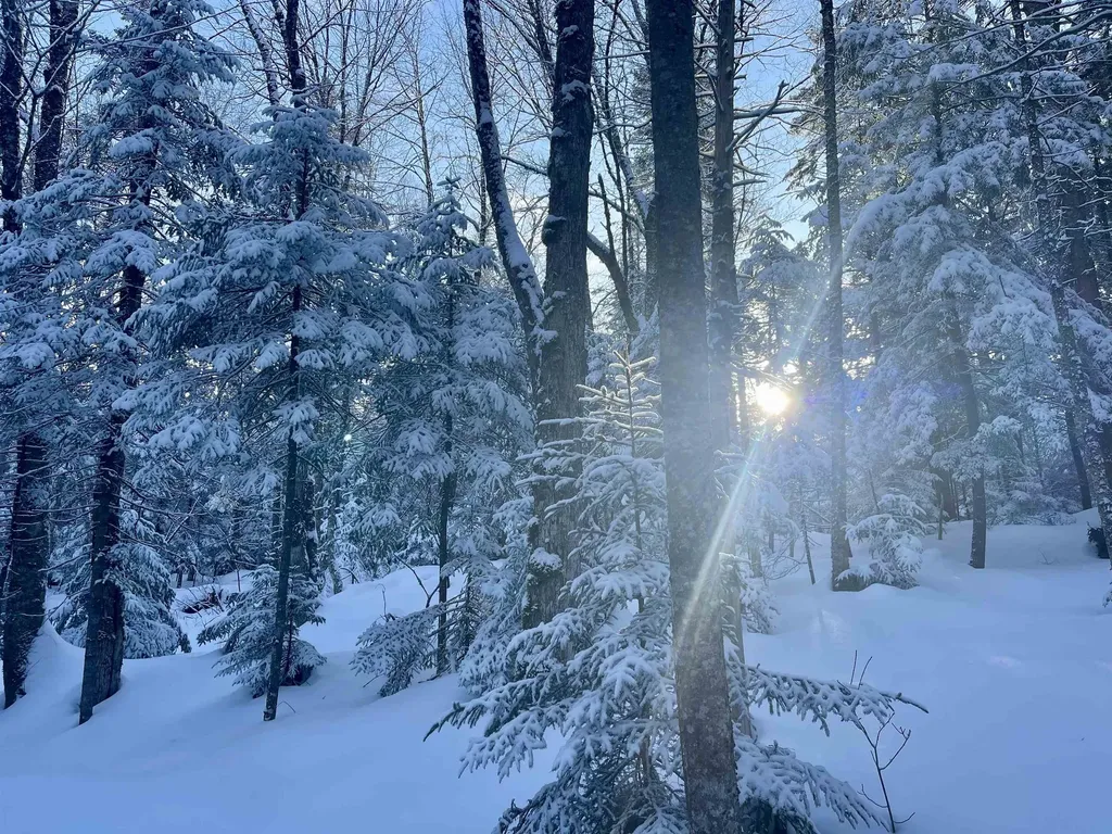 00 Mountain Road Burke VT 05832