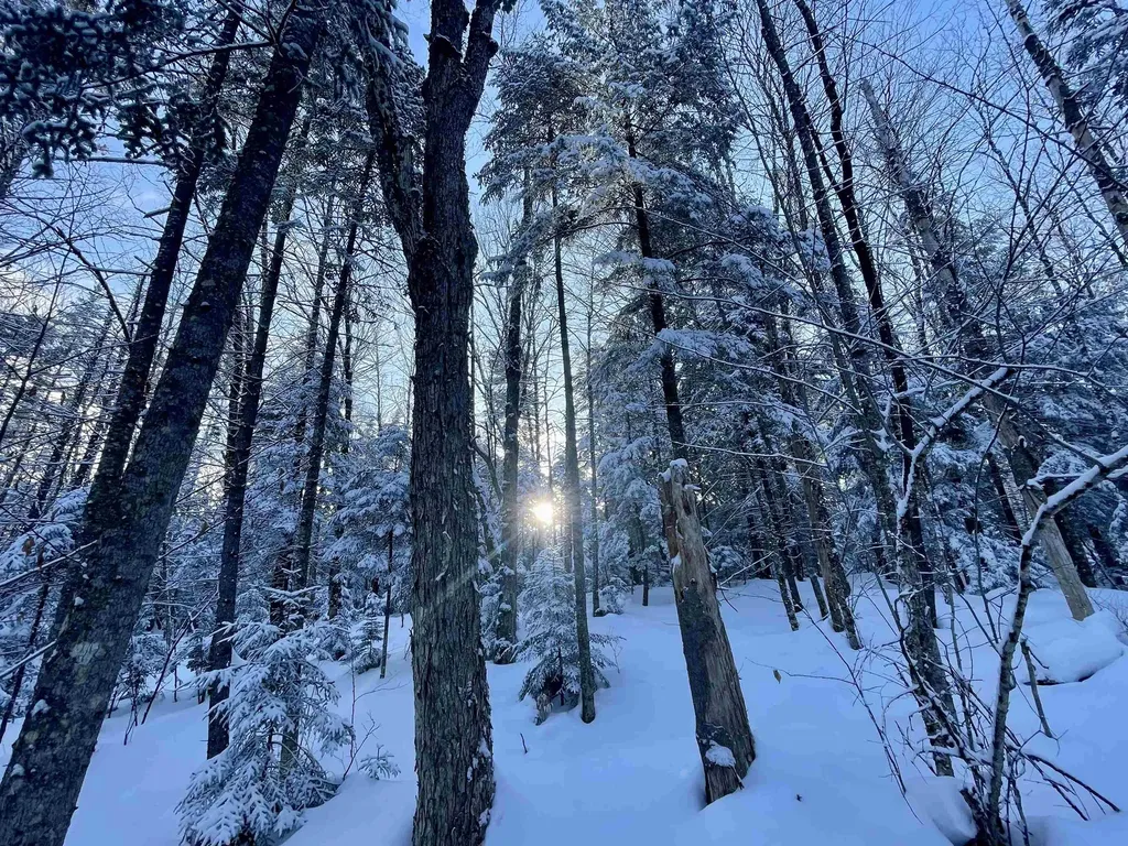 00 Mountain Road Burke VT 05832