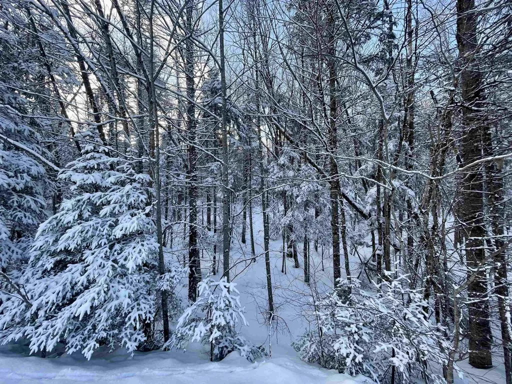 00 Mountain Road Burke VT 05832
