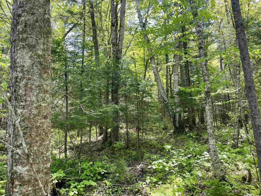 00 Mountain Road Burke VT 05832