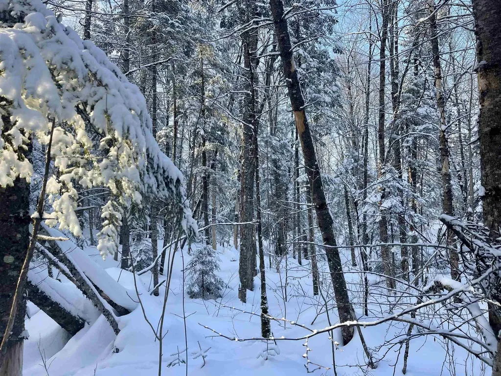 00 Mountain Road Burke VT 05832