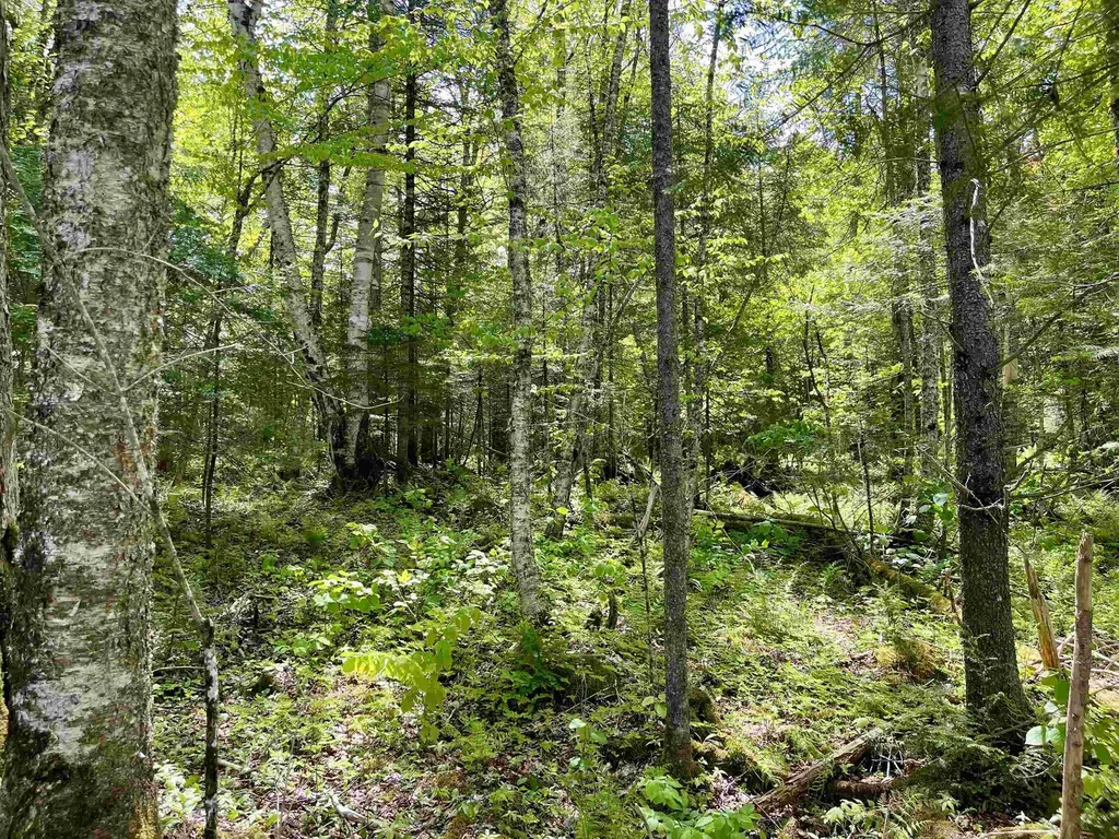 00 Mountain Road Burke VT 05832