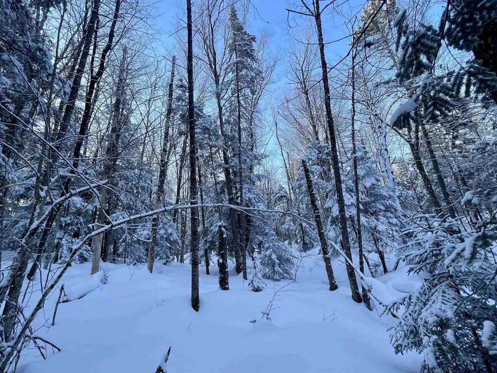 00 Mountain Road Burke VT 05832