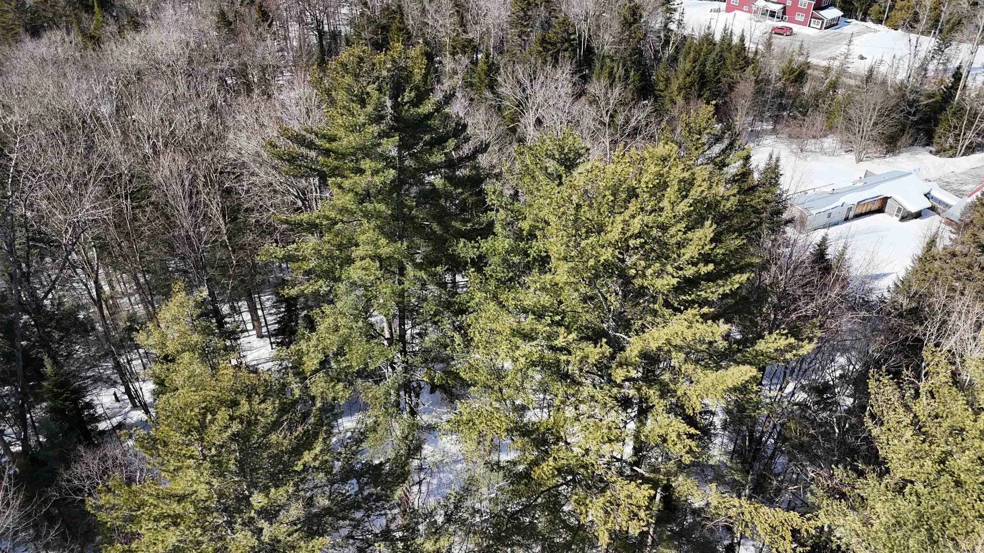 00 Mountain Road Burke VT 05832