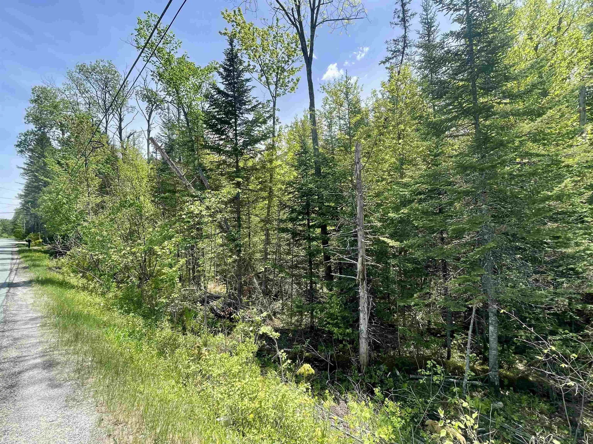 00 Mountain Road Burke VT 05832