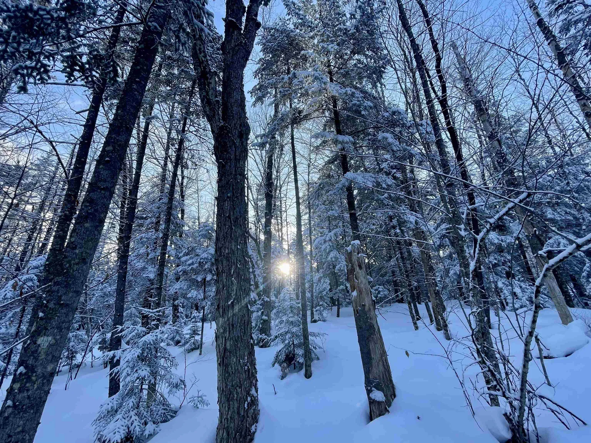 00 Mountain Road Burke VT 05832