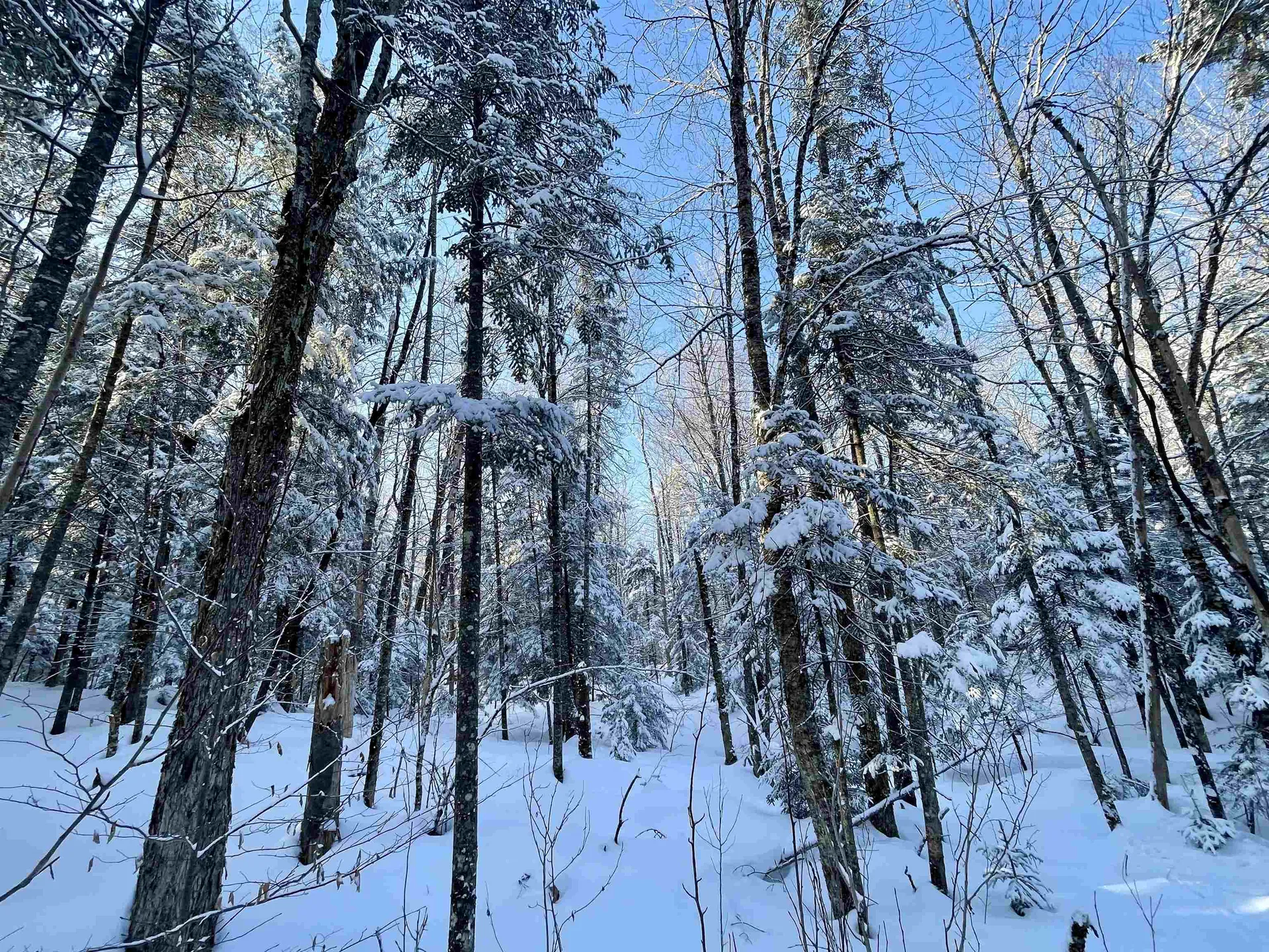 00 Mountain Road Burke VT 05832