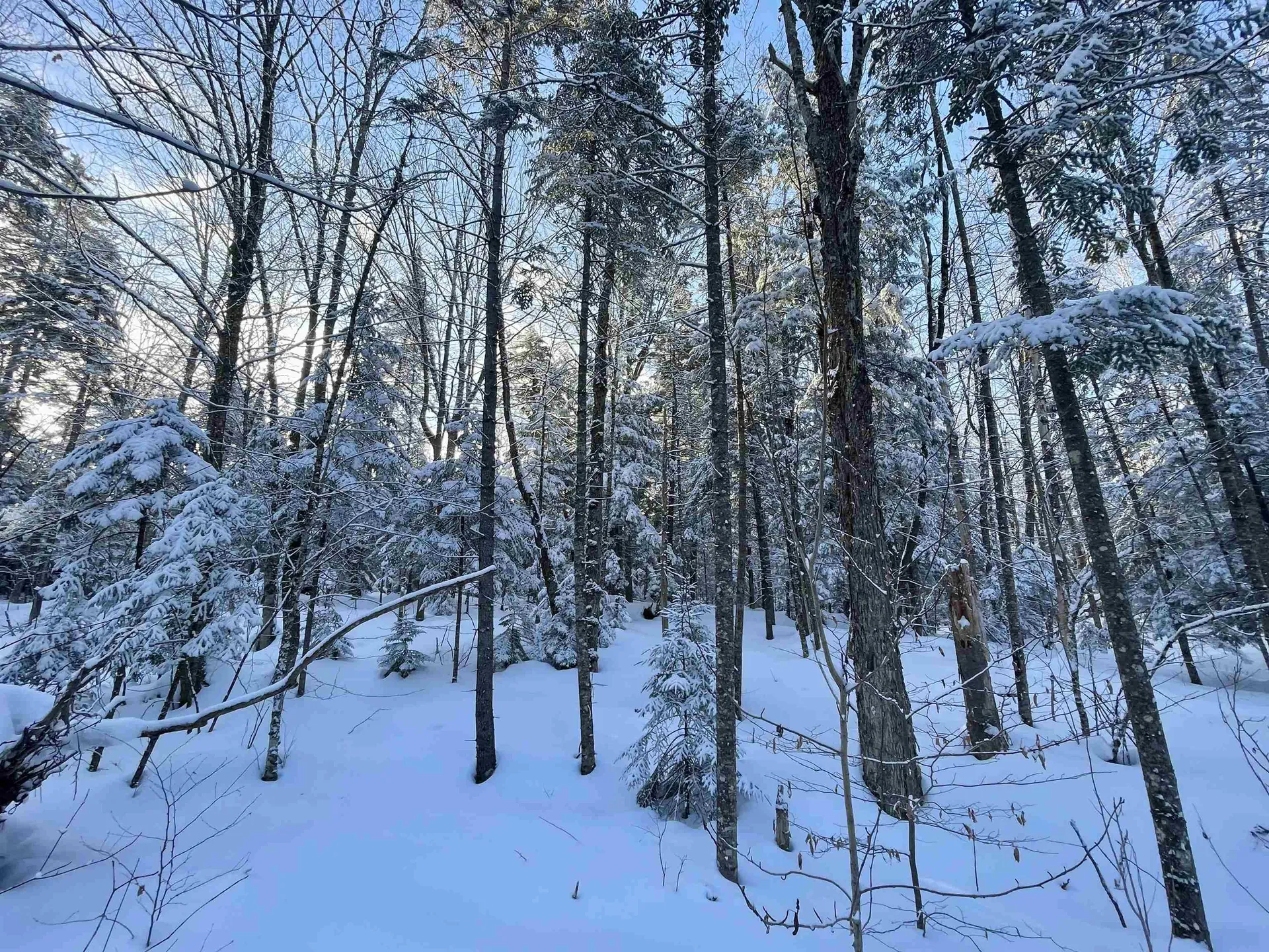 00 Mountain Road Burke VT 05832