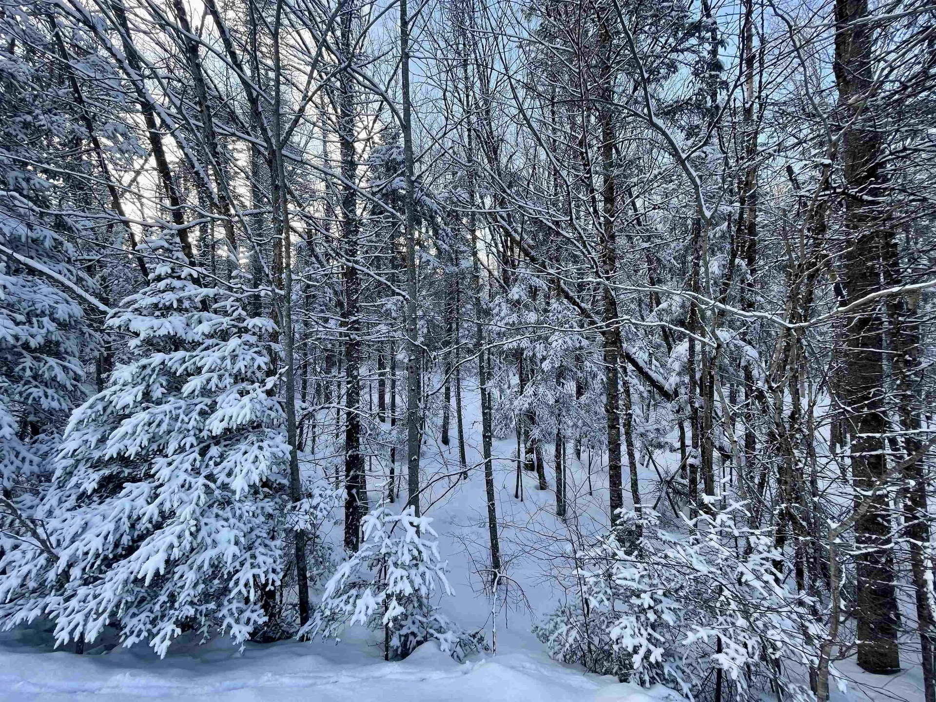 00 Mountain Road Burke VT 05832