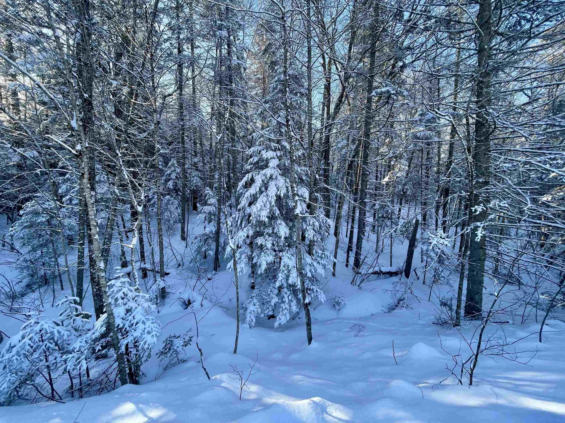 00 Mountain Road Burke VT 05832