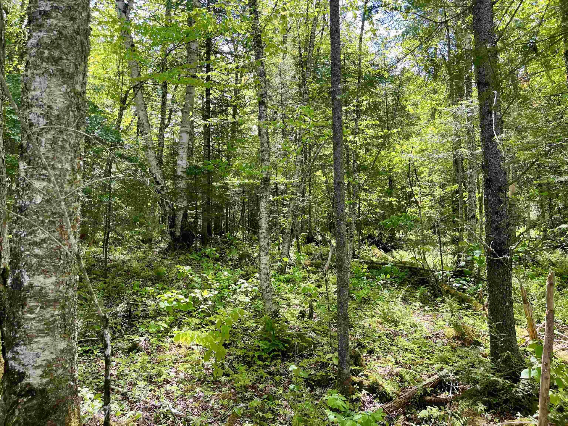 00 Mountain Road Burke VT 05832