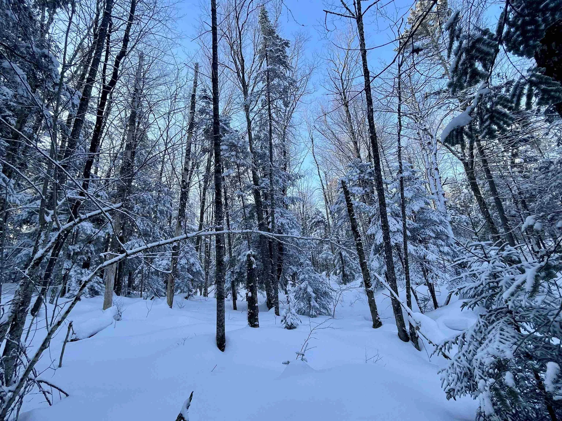 00 Mountain Road Burke VT 05832