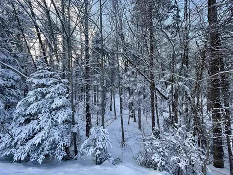 00 Mountain Road Burke VT 05832