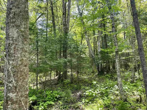 00 Mountain Road Burke VT 05832