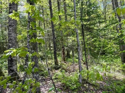 00 Mountain Road Burke VT 05832