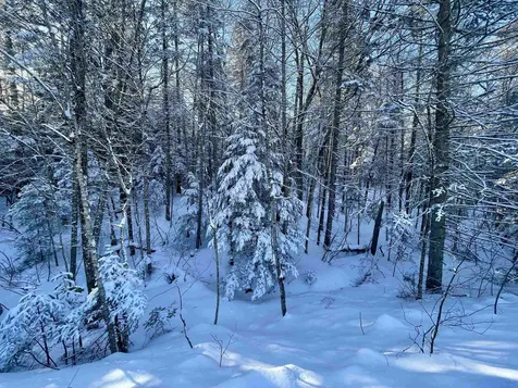 00 Mountain Road Burke VT 05832