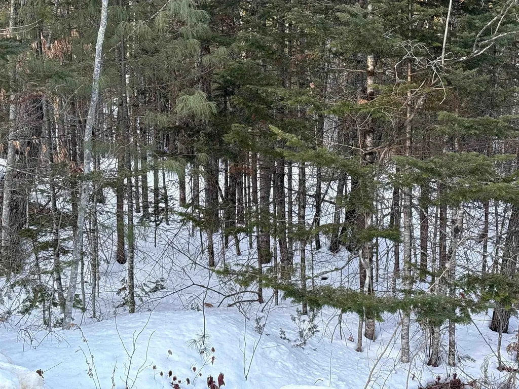 37446 North Shore/washington Drive Barnstead NH 03225