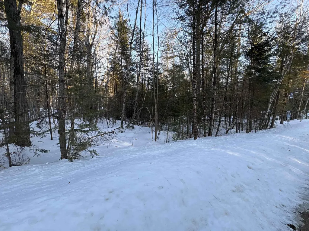 37446 North Shore/washington Drive Barnstead NH 03225